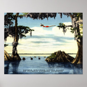 14 x 11 Tauchszene, Cypress Florida Poster
