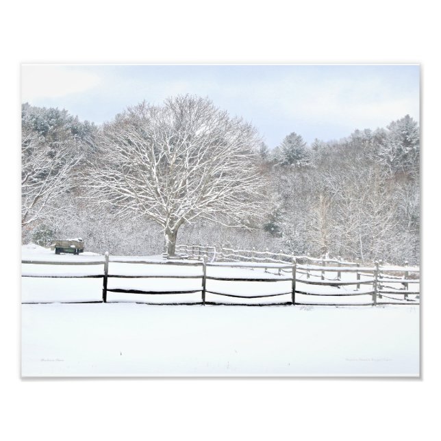 14 x 11 Walden Woods Project Farm Photo Imprimer (Devant)