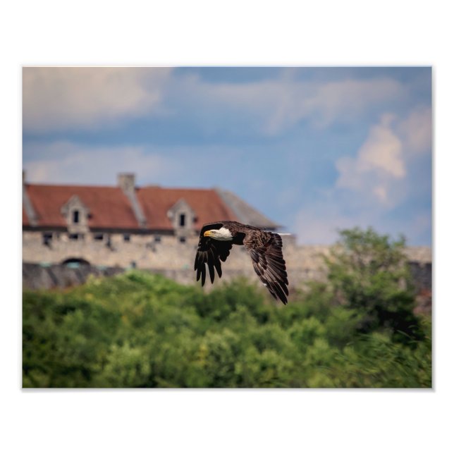 14x11 Bald-Adler vorbei an Fort Ticonabweicha Fotodruck (Vorne)
