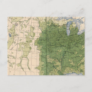 154 Mais/Quadratmeile Postkarte