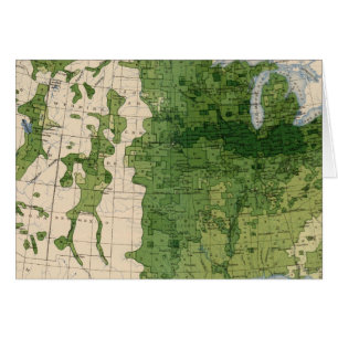 155 acres de maïs