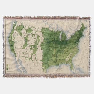 155 Mais/Morgen Decke