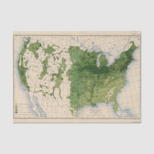 155 Mais/Morgen Seidenpapier