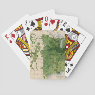 155 Mais/Morgen Spielkarten
