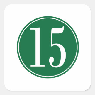 15 Grüner Kreis Quadratischer Aufkleber
