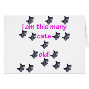 15 Katzen-Köpfe alt