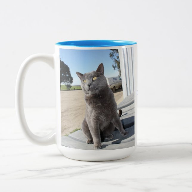 15 onces. Tasse de chat (Gauche)