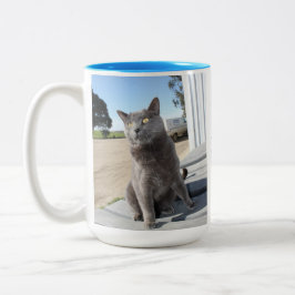 15 Unze. Katzen-Tasse Zweifarbige Tasse