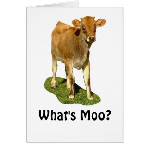 1607513, Was ist Moo?