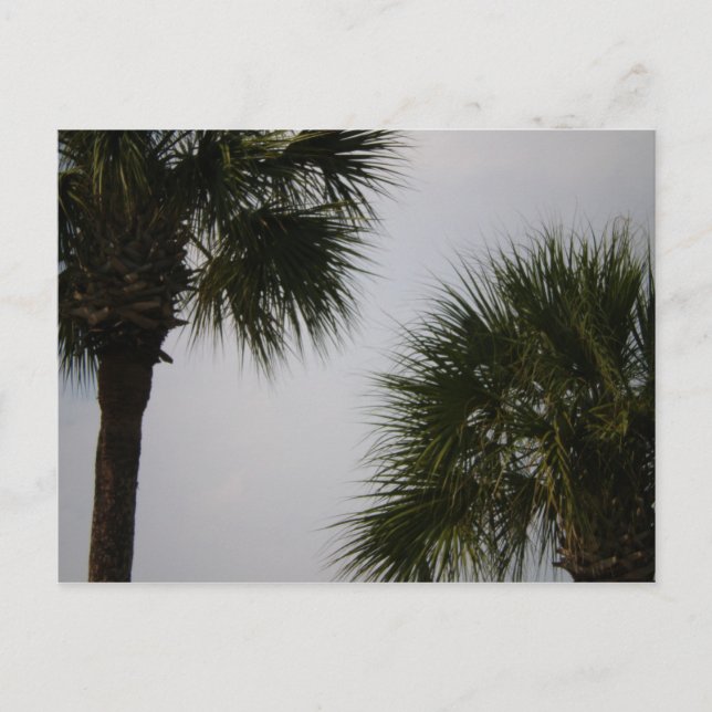 160 lpn postkarte (Vorderseite)