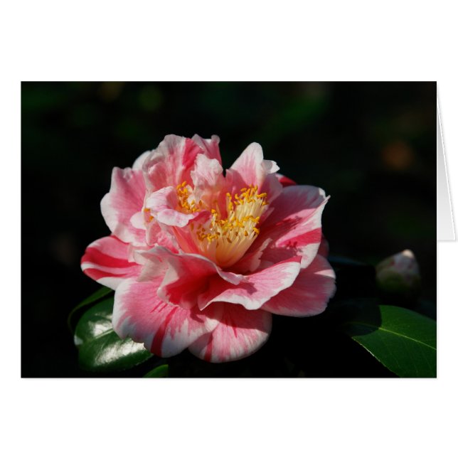 167 - Maßgeschneidert (Vorderseite (Horizontal))