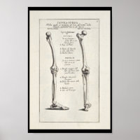 1691 Künstlerische Anatomie Beinknochen Kunst druc