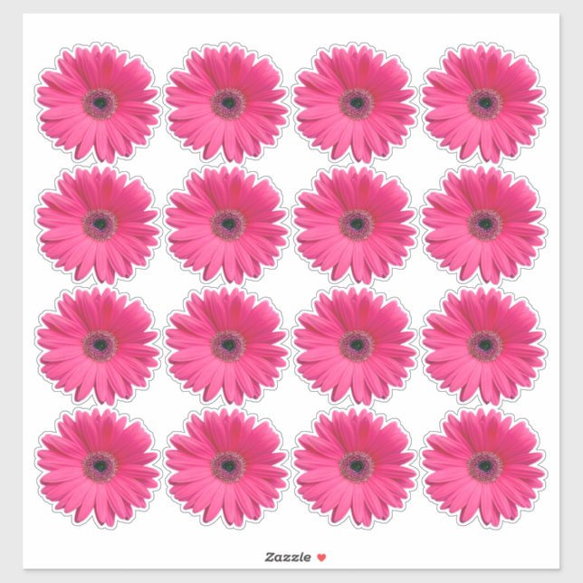 16 autocollants en forme de fleur de gerbera rose  (Feuille)