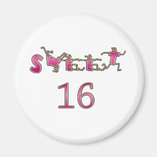 16. Geburtstag-Rosa Magnet