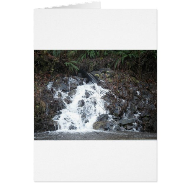 16. Januar (170) (Vorne)