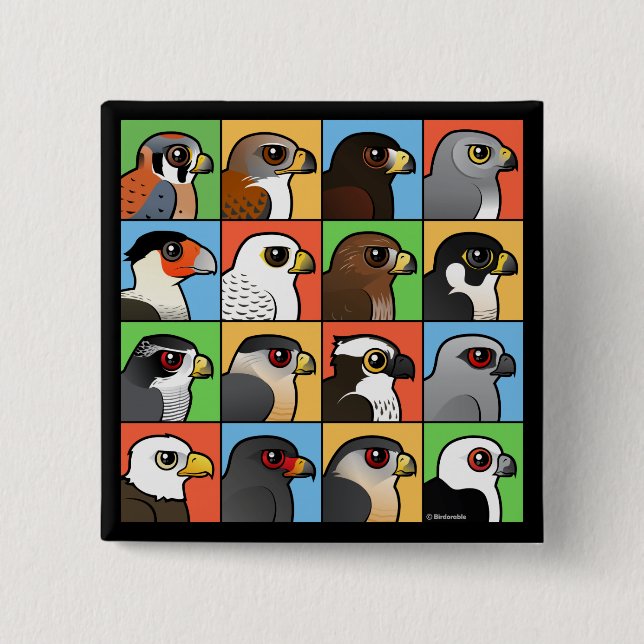 16 nordamerikanische Raubvogel-Profile Button (Vorderseite)