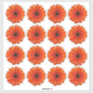 16 orangefarbene Gerbera-Schneidblumen-Kiss-Cut-Au Aufkleber
