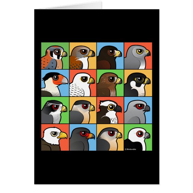 16 profils de Nord-américain Raptor (Devant)