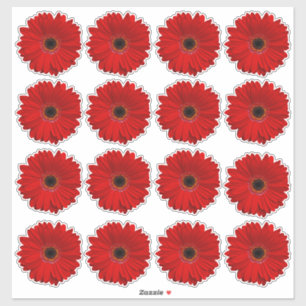 16 rote Gerbera-Gänseblümchen-Blumen-Kiss-Cut-Aufk Aufkleber