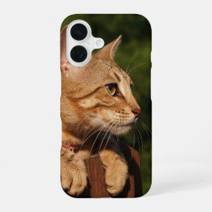 16 Savannah coque iphone
