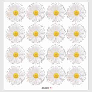 16 Stickers Shasta Daisy Flower Kiss-Cut
