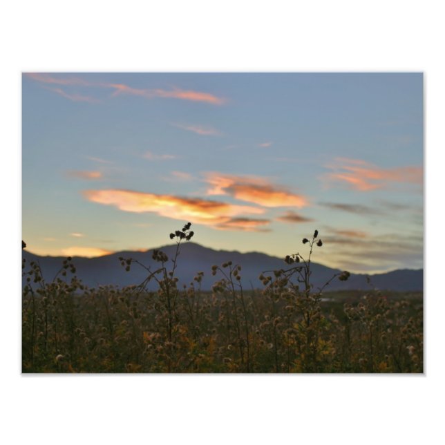 16 x 12 fotodruck (Vorne)