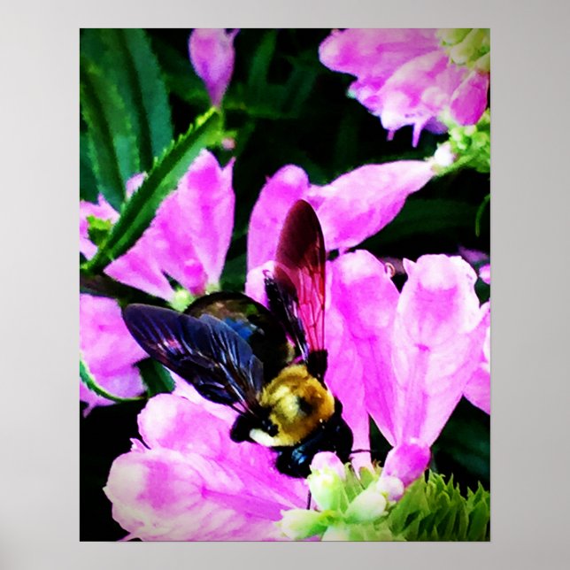 16" x 20" Poster (Halbschall)BienenAugen Sammlung (Vorne)
