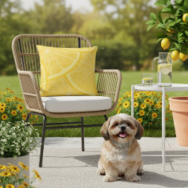 16x16 Yellow Meyer Lemon Imprimer Coussin extérieu