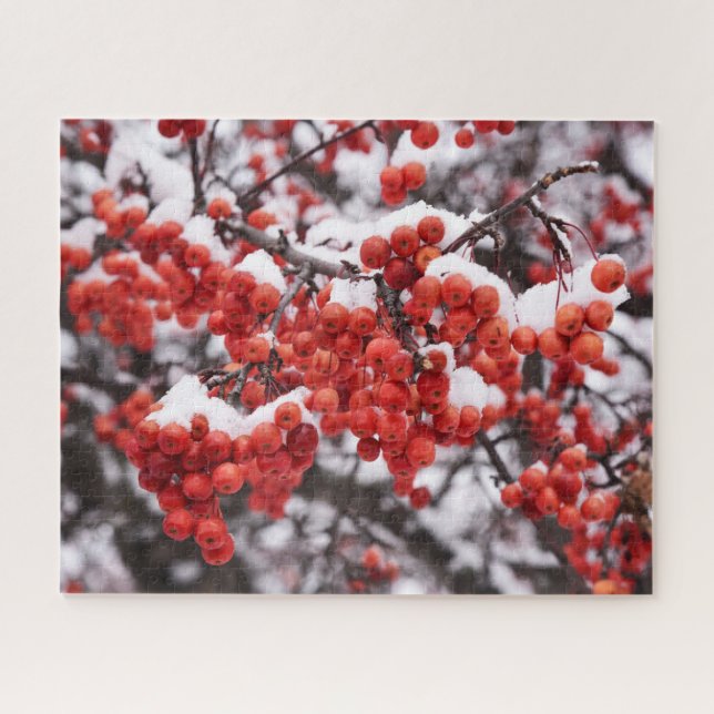 16x20, 520 Stück, Puzzle (Horizontal)