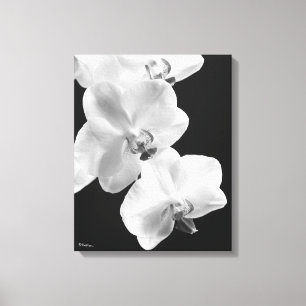16X20 Orchideen in Schwarz-Weiß-Wrapped Canvas Art Leinwanddruck
