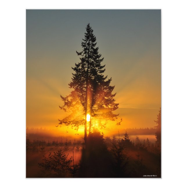 16X20 Sonnenaufgang im Großen Nordwesten Fotodruck (Vorne)