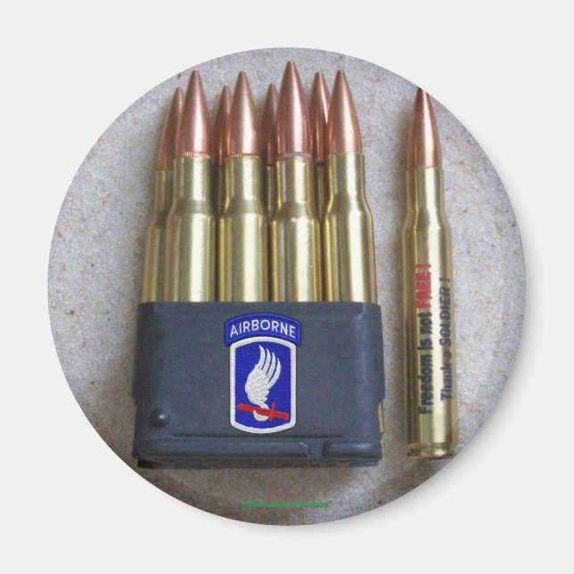 173rd ABN BDE Airborne Brigade Sky Soldiers Vets Magnet (Vorne)