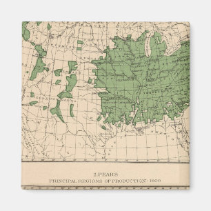 174 Äpfel, Birnen, Hauptregionen Magnet