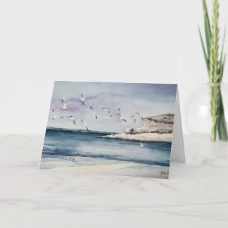 1774 Seagulls bei Sandy Beach Sympathy Card Karte
