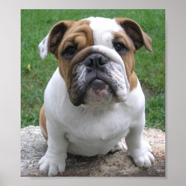 17.05.003 POSTER (Vorne)