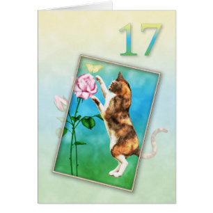 17ème anniversaire avec un chat ludique