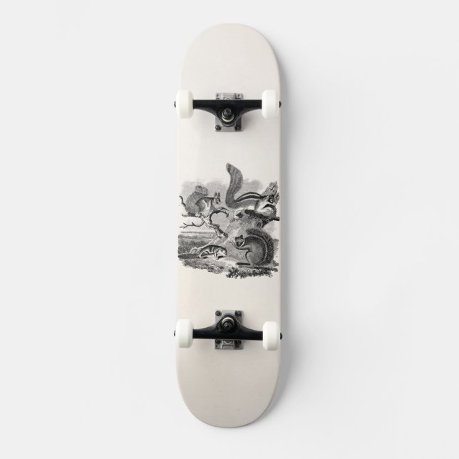 1800s Vintage Eichhörnchen-Illustration - Skateboard (Vorderseite)