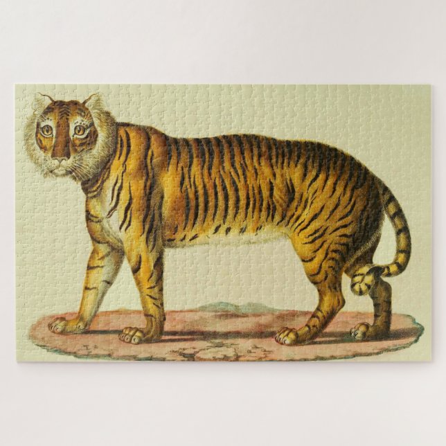 1824 Tigerdruck (Horizontal)
