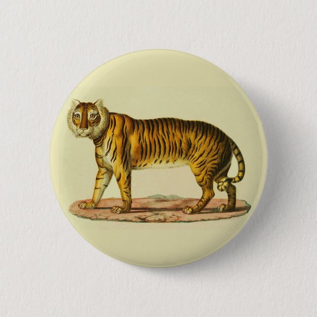 1824 Tigerdruck Button (Vorderseite)