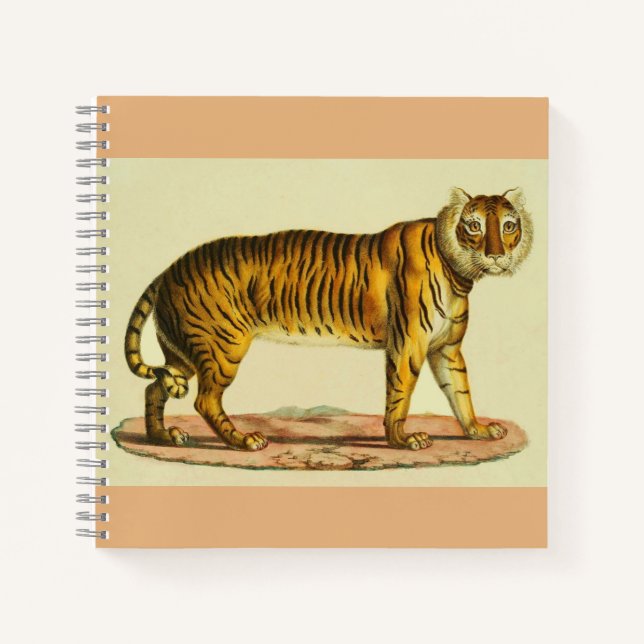 1824 Tigerdruck Notizbuch (Vorderseite)