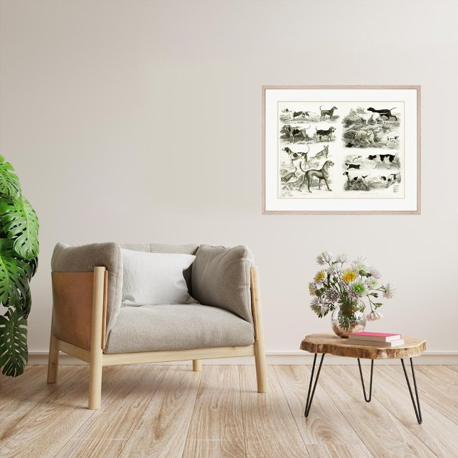 1830 races de chiens - Impression d'archives (Créateur téléchargé)