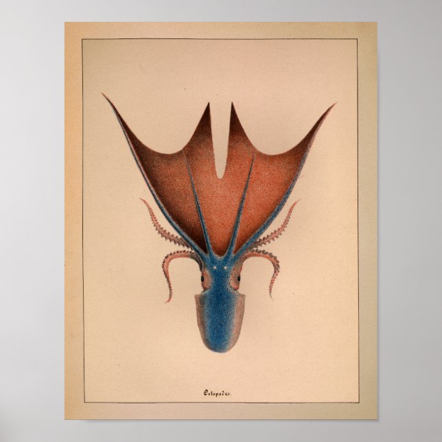 1851 Vintager Oktopus Poster (Vorne)