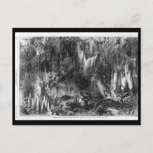 1866 Cyprus Swamp auf der Opelousas Railroad, Loui Postkarte