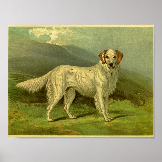 1881 Vintager englischer Setter Print Poster (Vorne)