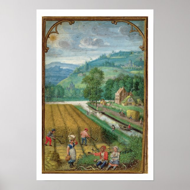 18855 September hinzufügen: Ernte, Pflügen und Sau Poster (Vorne)