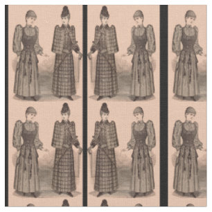1895 Damenbekleidung in Delinator, Druck Stoff