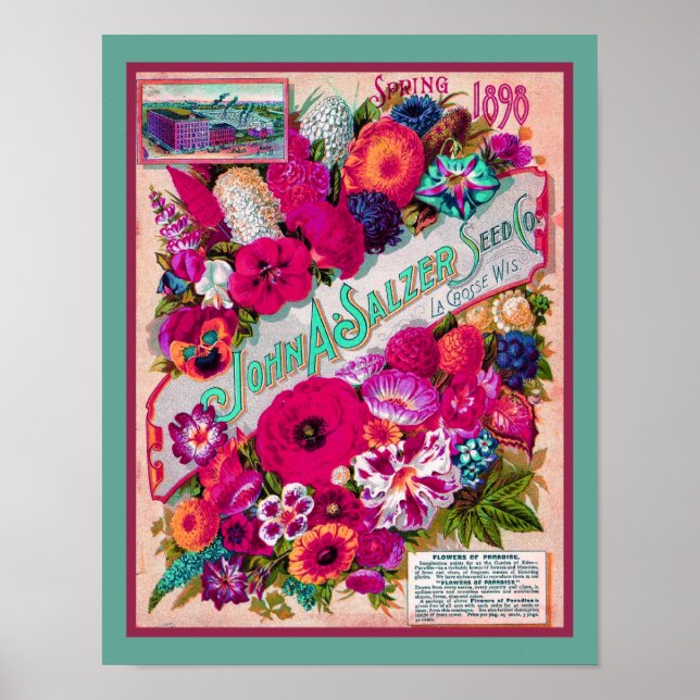1898 Salzer Seed Company Katalog Poster (Vorne)