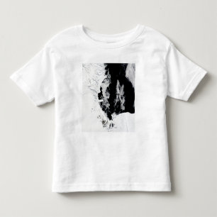 18. Januar 2010 - Ross-Meer, die Antarktis Kleinkind T-shirt