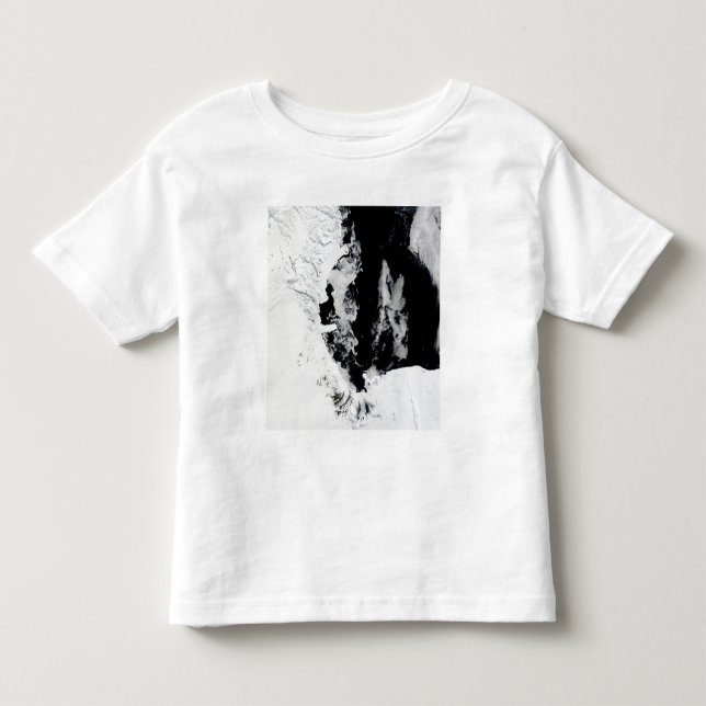 18. Januar 2010 - Rosssee, Antarktis Kleinkind T-shirt (Vorderseite)