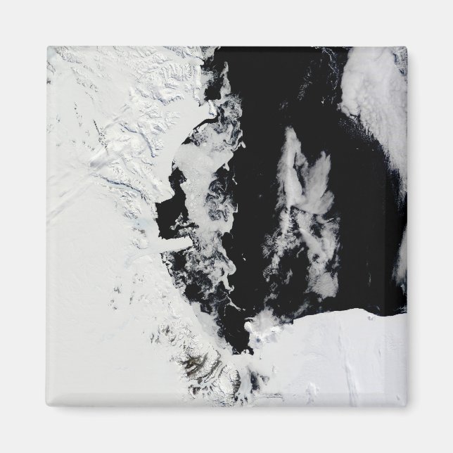 18. Januar 2010 - Rosssee, Antarktis Magnet (Vorne)